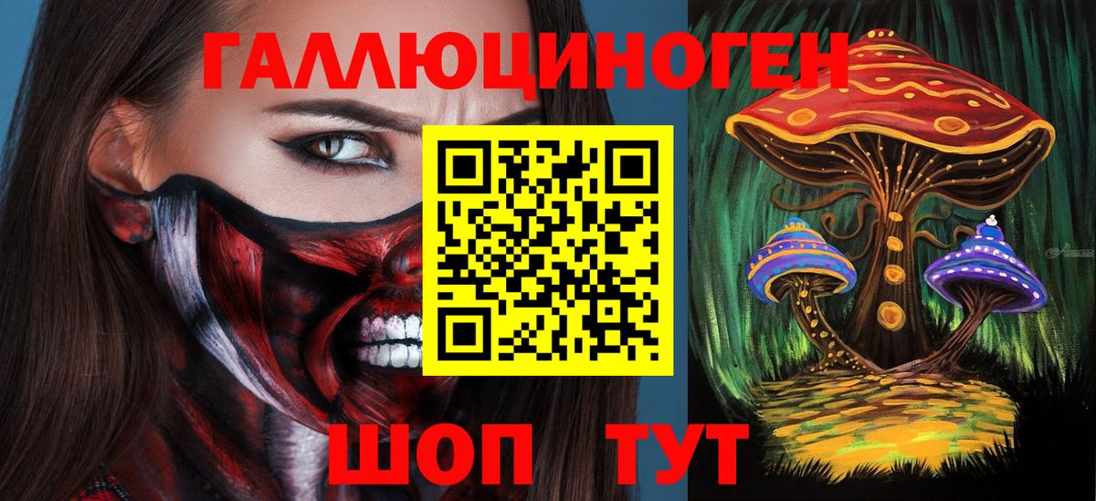 Псилоцибиновые грибы Psilocybe  продажа наркотиков  Джанкой  Вход с VPN 